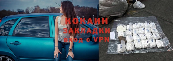 прущие крисы Бородино