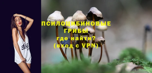 прущие крисы Бородино