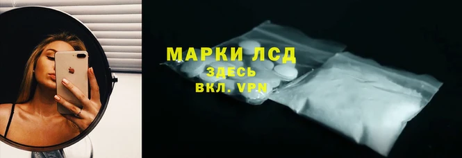 прущие крисы Бородино
