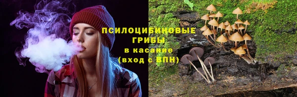 прущие крисы Бронницы