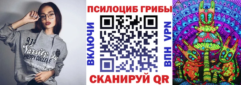 Купить  Николаевск-на-Амуре  Псилоцибиновые грибы ЛСД 